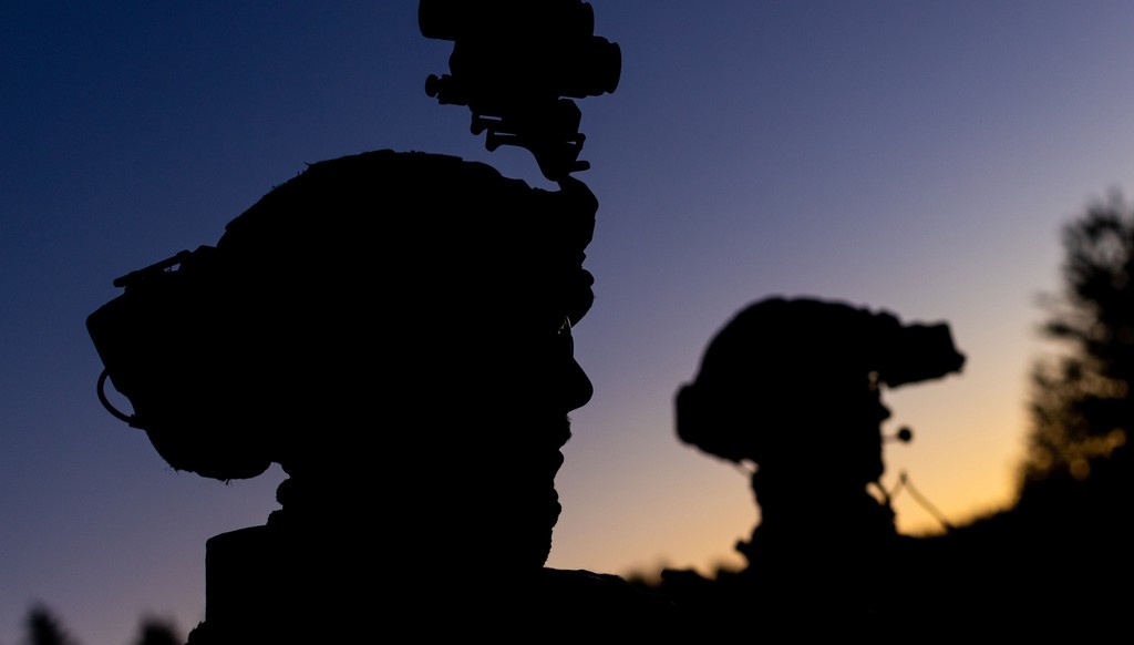    Фото © nato.int