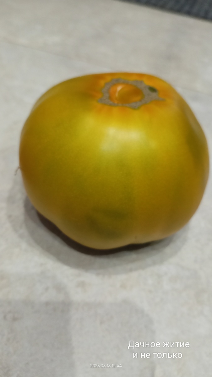 Спелая малахитовая шкатулка