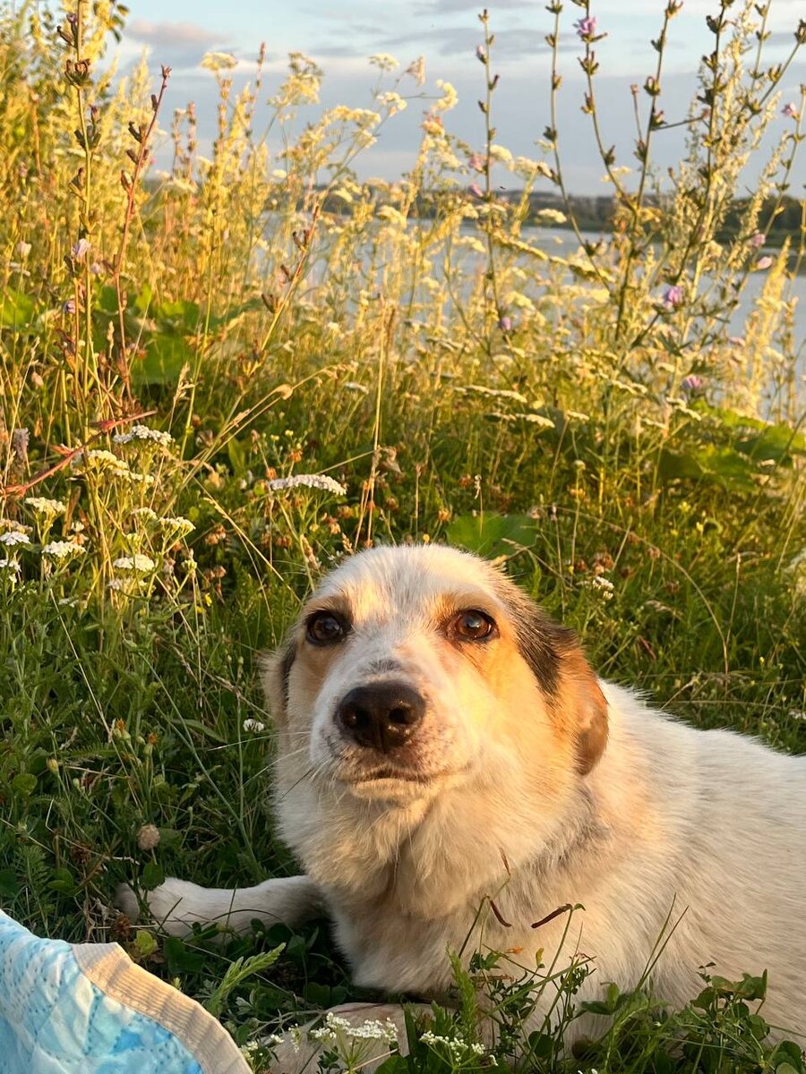 Я Патрик. И теперь я дома. Спасибо вам, Люди!