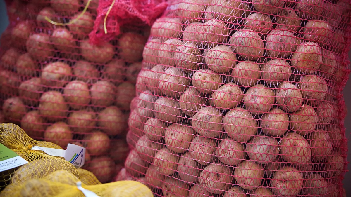 © photo: Sputnik / Stringer