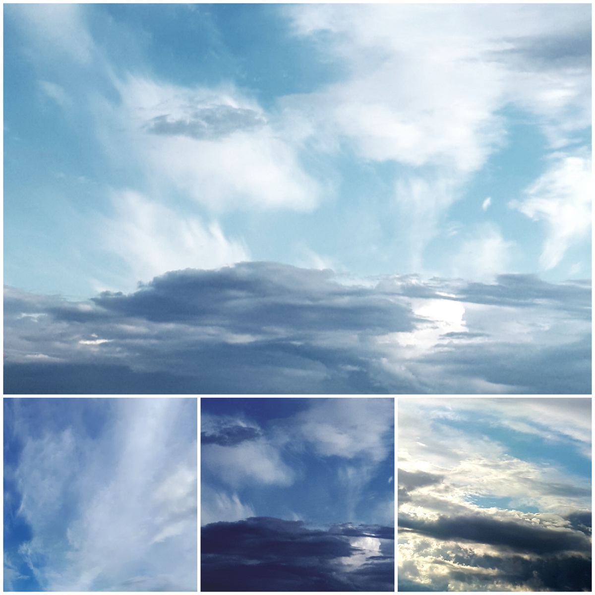 Коллаж автора 24.08.2025г.