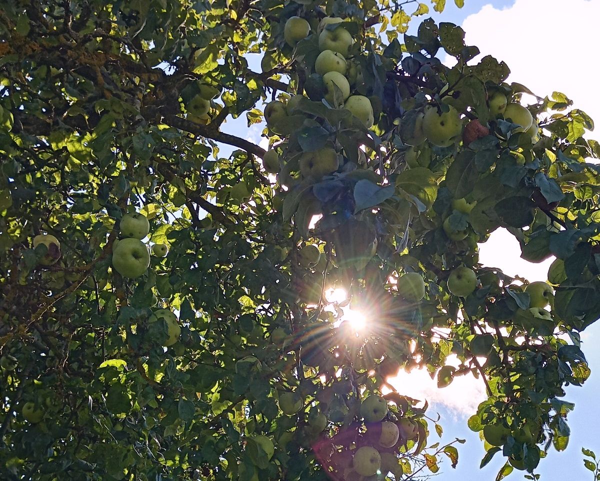 С утра было солнышко :) 