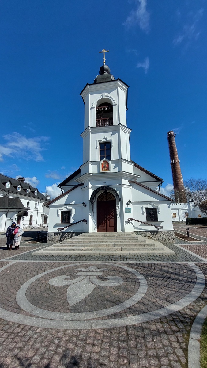 Лилия похожа на французскую, но наверное просто лилия.