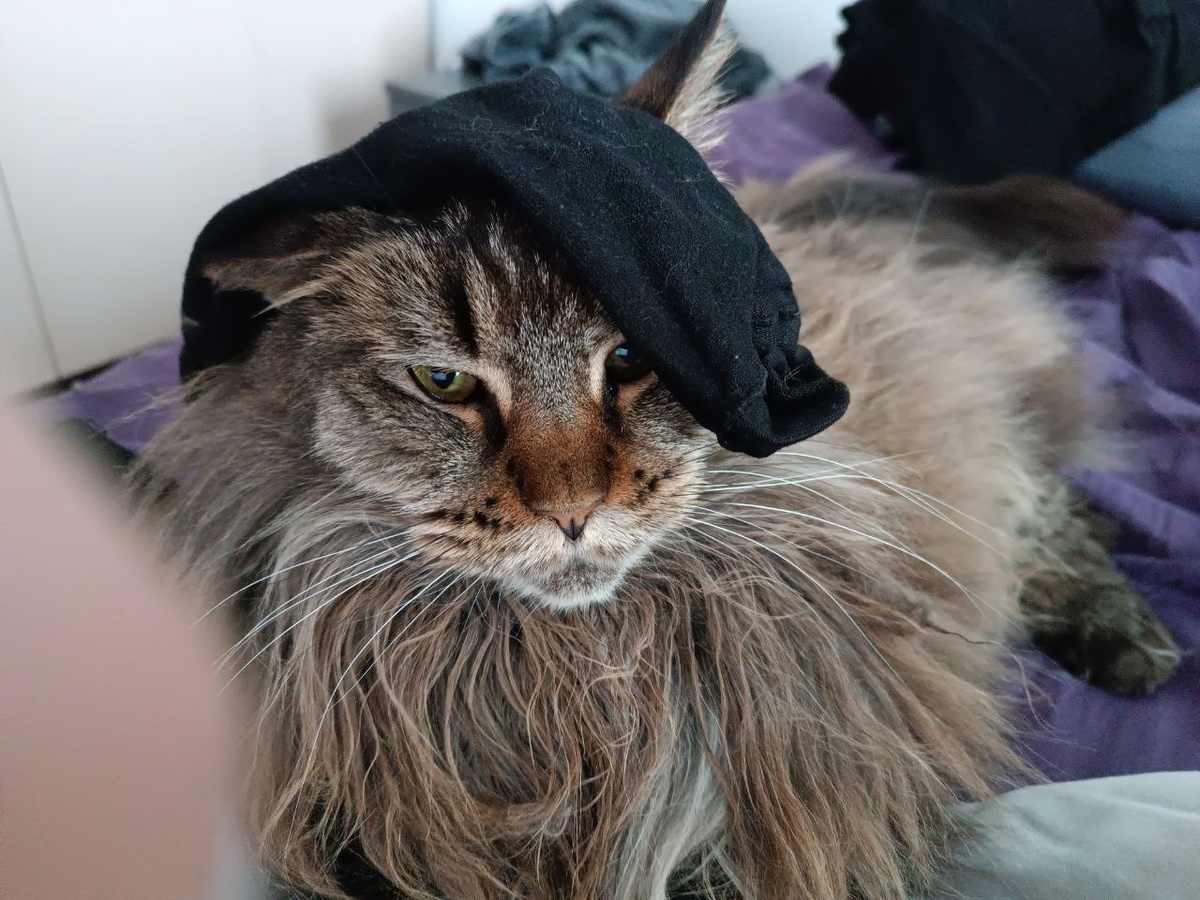 Это всё тоже Грозный, междур пррочим...