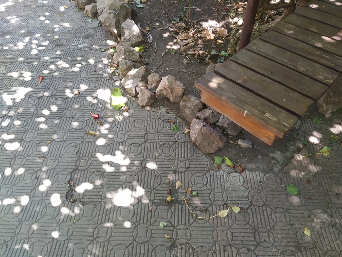 Уютный дворик аккуратно намекает: скоро осень! (с) Фото: Н. Остапцов