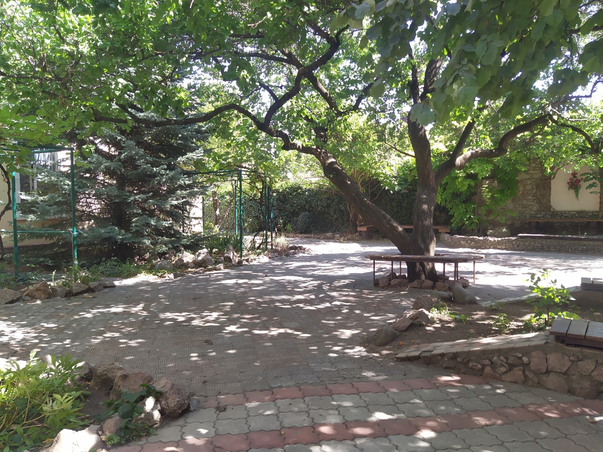 Тут пока никого нет. Ждём! (с) Фото: Н. Остапцов