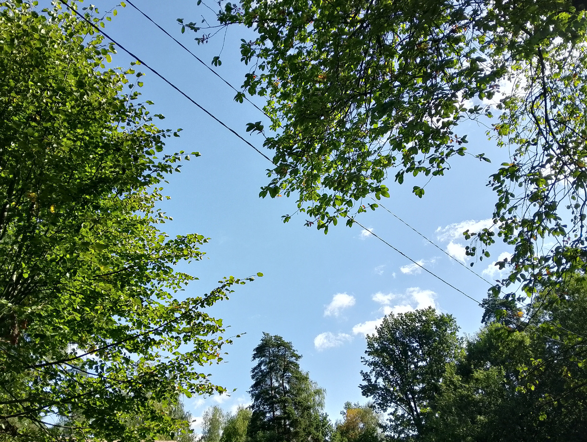 Как же красиво! Фото автора