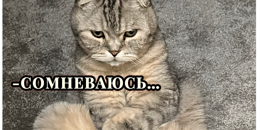 Пусть оно будет добрым😻