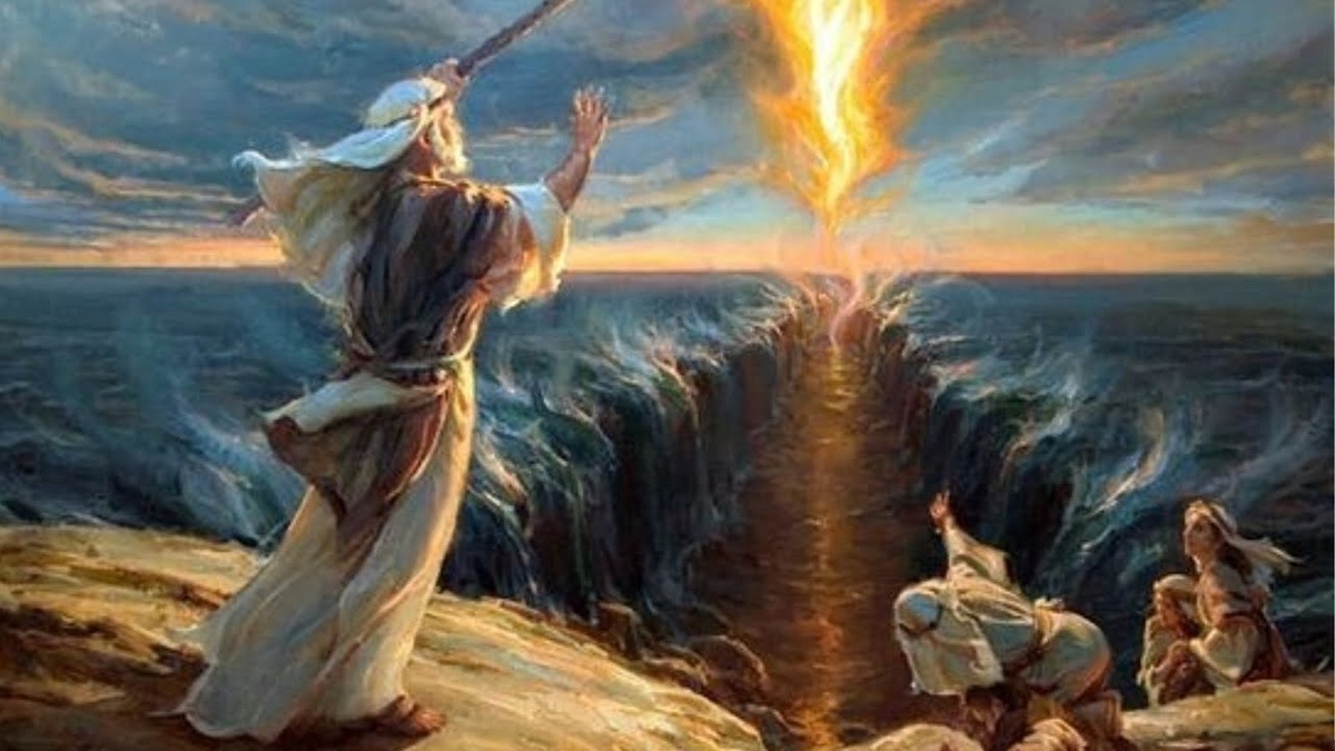 Фото взято из открытых источников