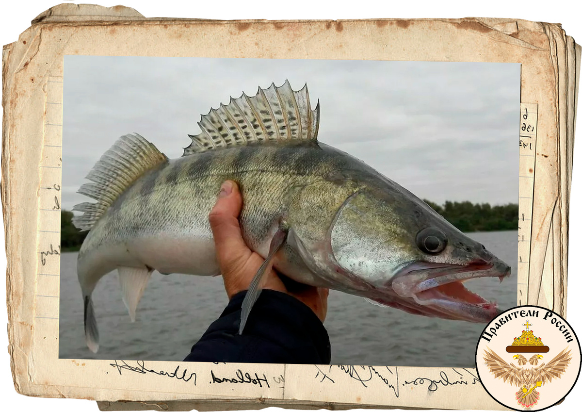 Рыбалка на Волге 