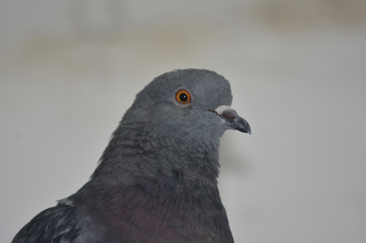 Здравствумте, теперь здесь живу я.