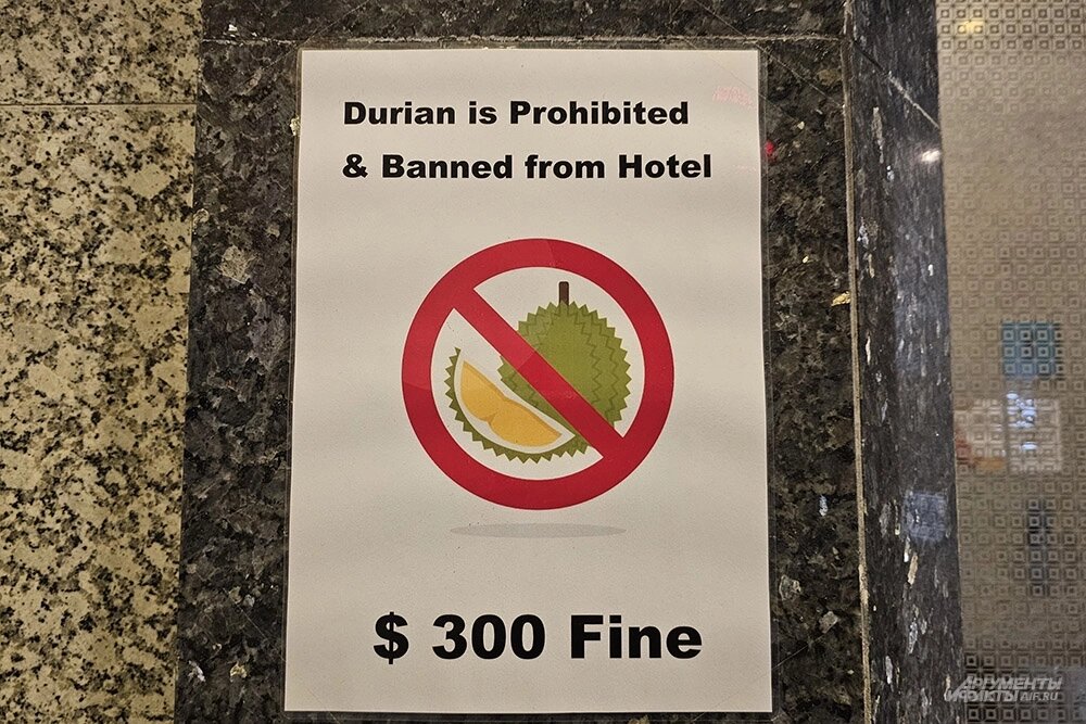    Фото: АиФ/ Георгий Зотов