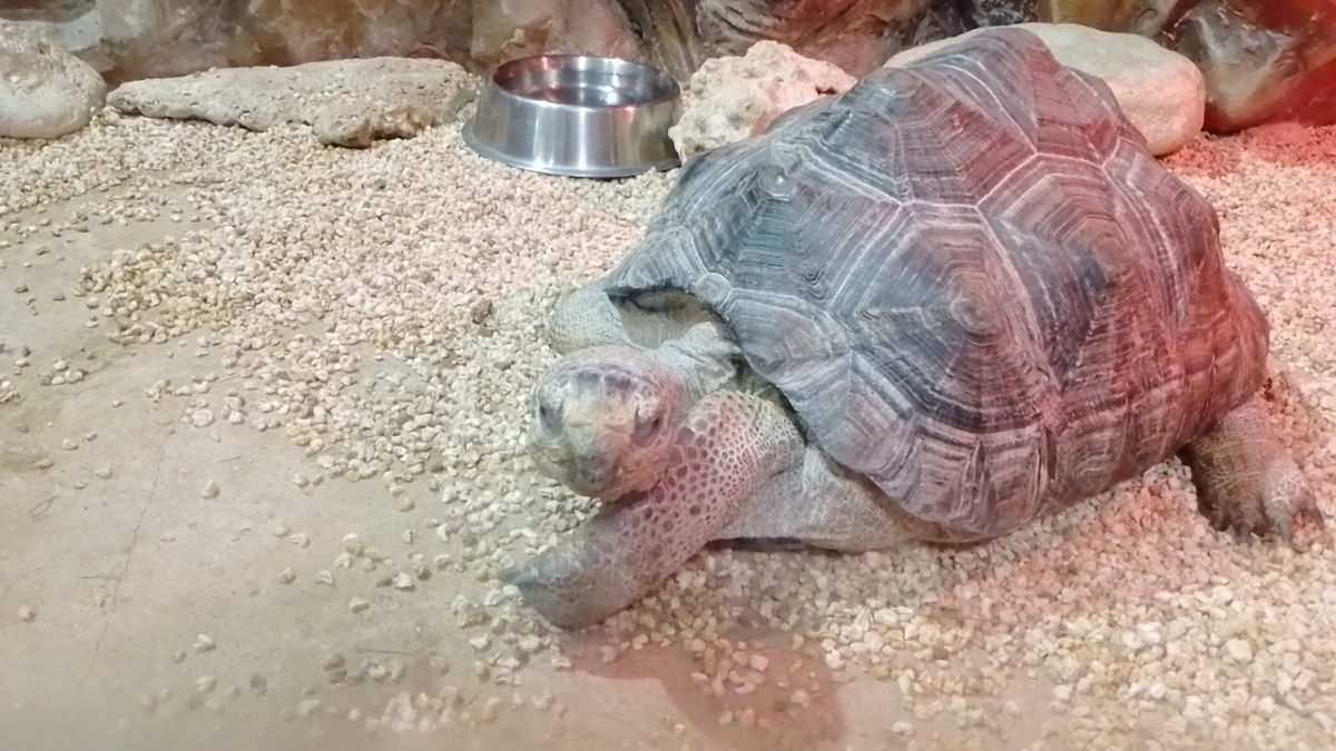 Фото автора. 