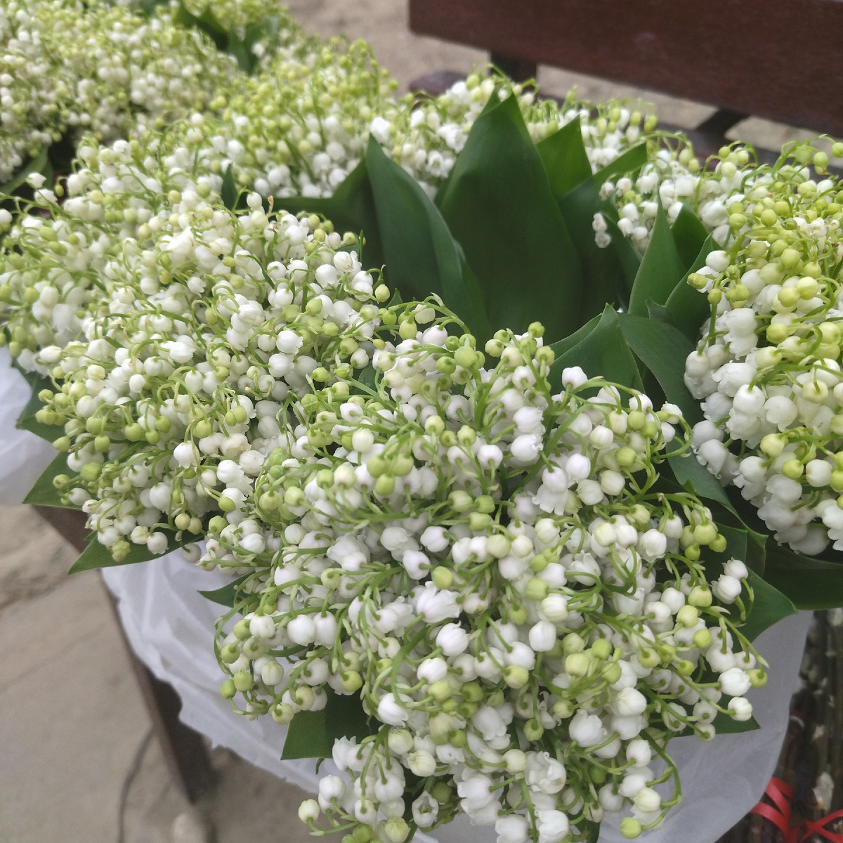 Понятие не имею, какие картинки вставлять в главу. Без картинок нельзя.