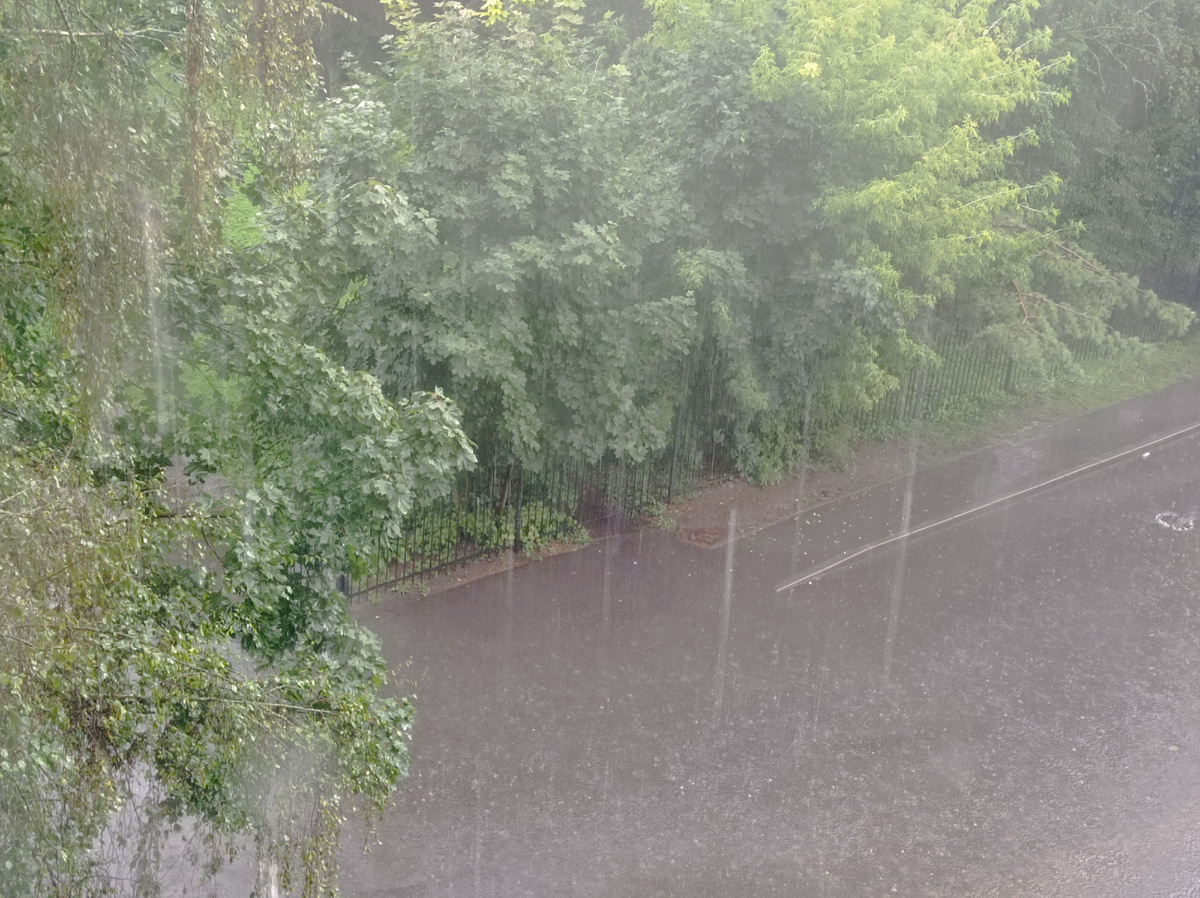 Вот такой ливень шел у нас в воскресенье. Ну и что в саду и огороде можно делать в такую погоду?