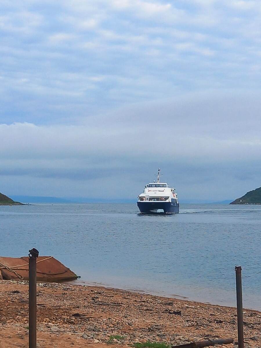 Катамаран из Владивостока