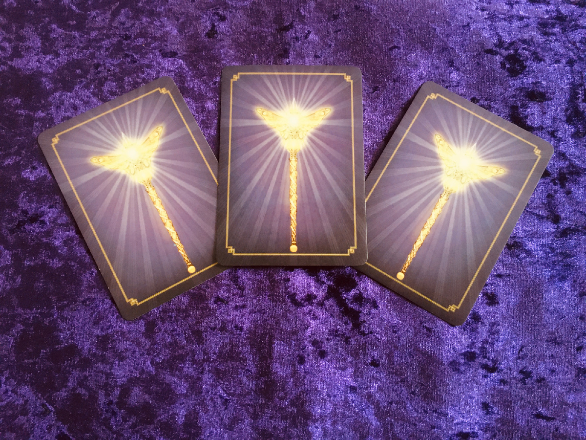 Фото автора. Выбор варианта