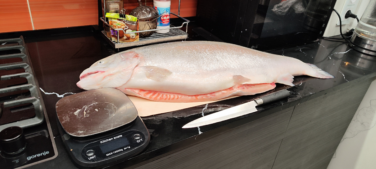 Рыба моей мечты (с) весь стол заняла...