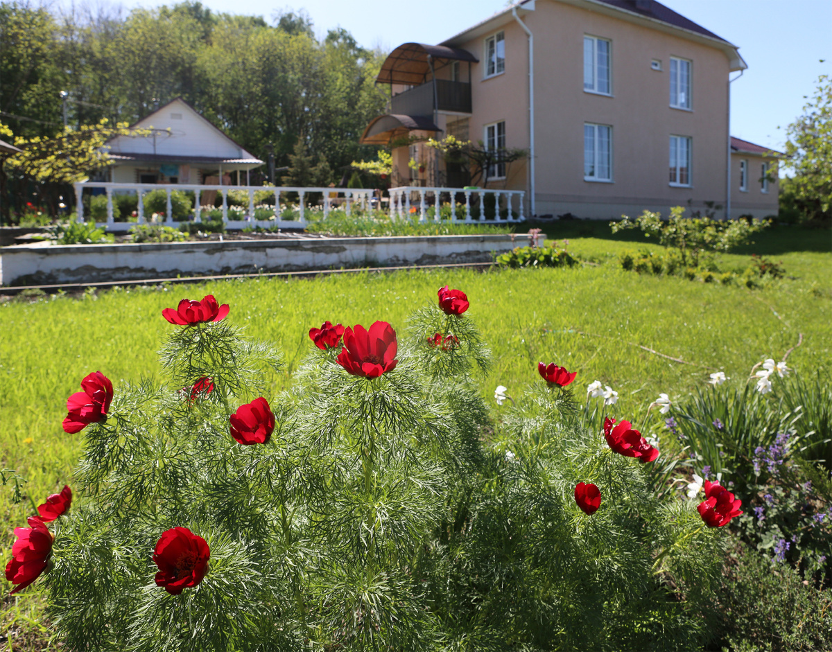 Фото: © Nikolay Gyngazov/ Global Look Press