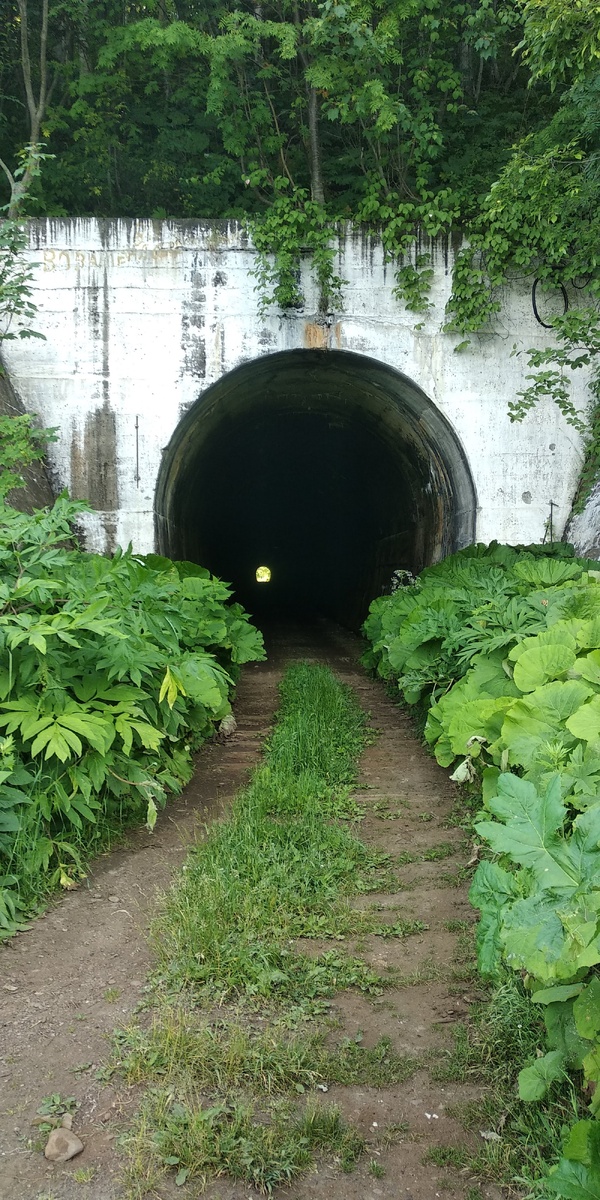Тоннелей по пути много