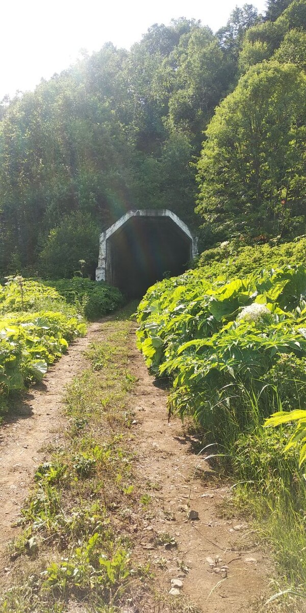 О жд напоминают лишь насыпь м тоннели 