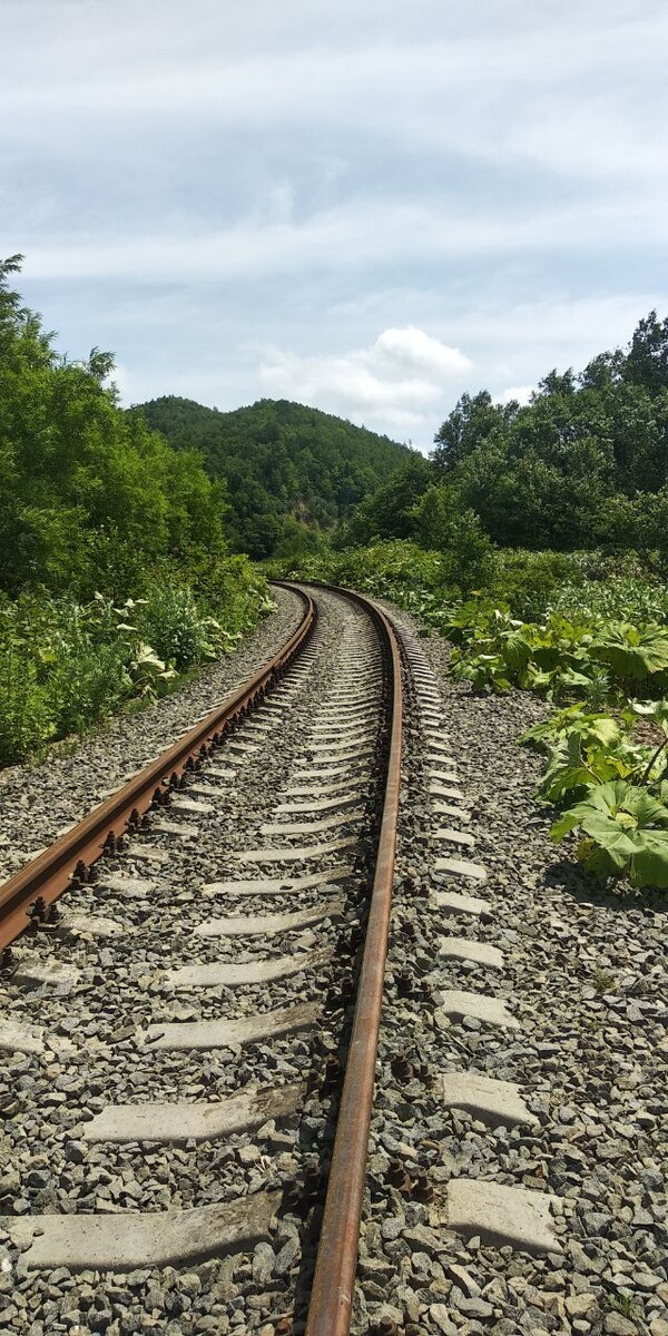 Идти от места парковки надо по жд путям