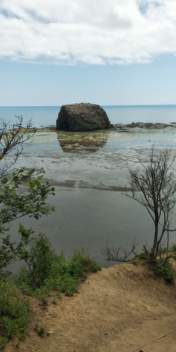 Островки с чайками