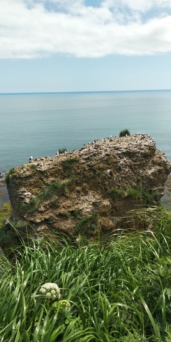 Неспокойное хозяйство