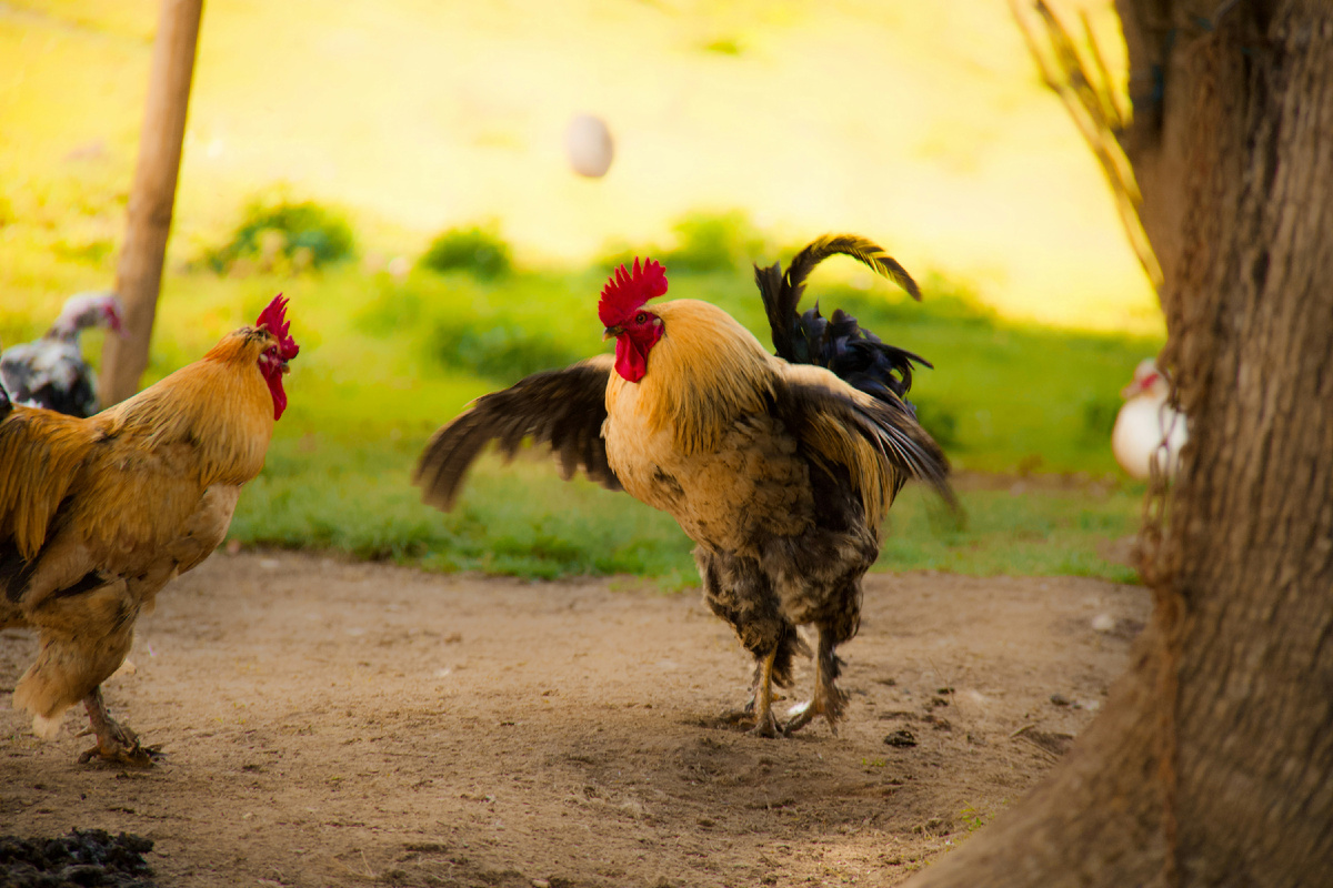 "Окончен бой, зачах огонь
И не осталось ничего
А мы живем, а нам с тобою
Повезло назло"(с) Фото: Unsplash