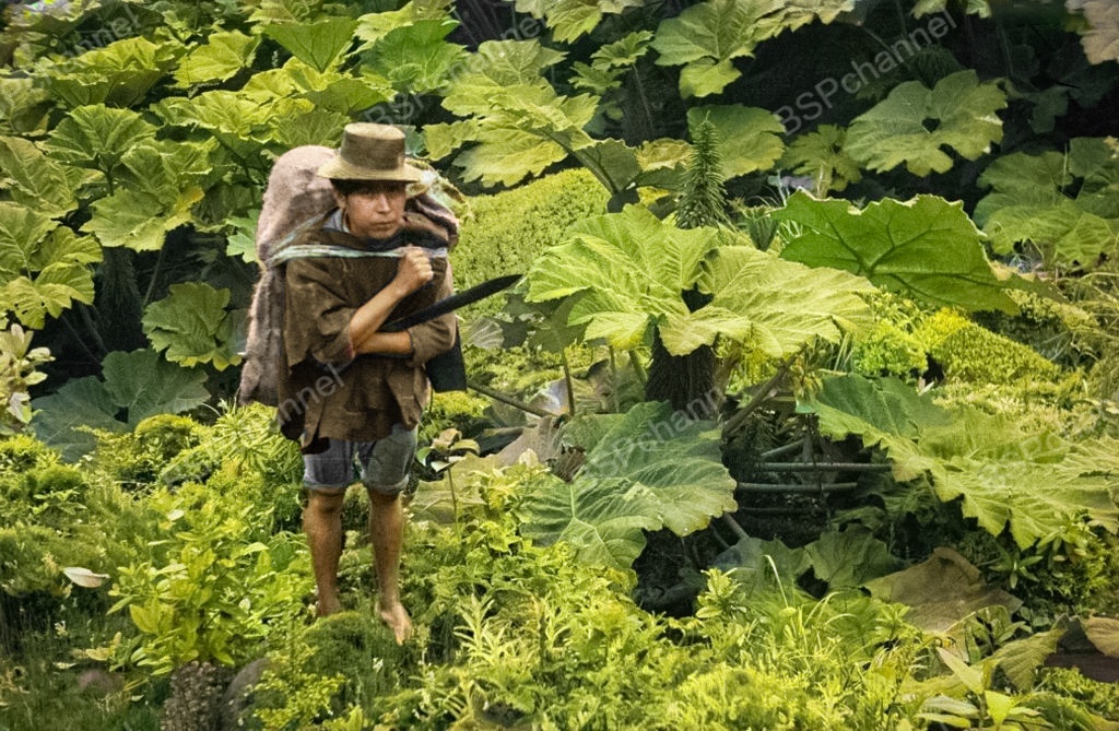 Фотограф: Мартин Хорст