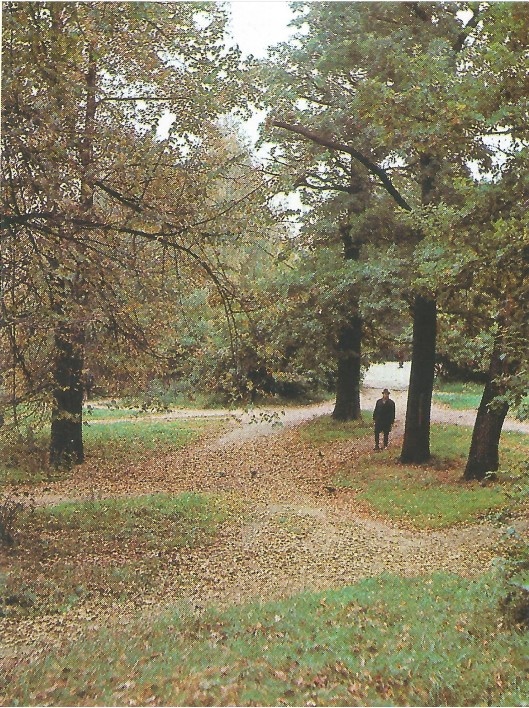 Из архива библиотеки имени Леси Украинки (в Москве) – Фото (лицевая сторона) – Скан-копия из книги «Московское метро» (фотопутеводитель) 1980 г. Автор снимка - Александр Терзиев. Разрешение: 529х708. файл: JPG