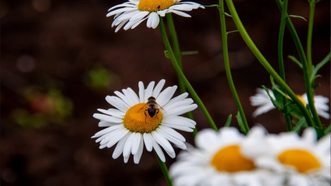    Svetlana Vozmilova/Globallookpress