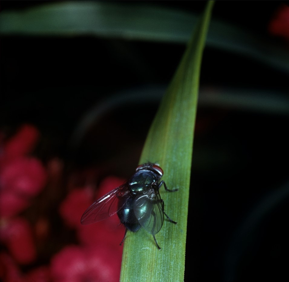    Фото: Vadim Nekrasov/Russian Look/Globallookpress