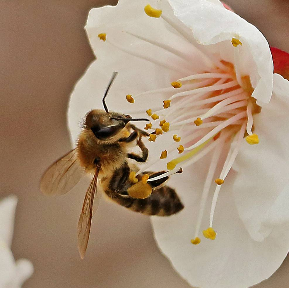 Фото с rutube.ru для примера