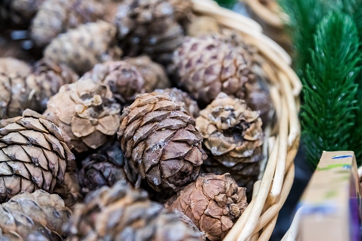    Фото Андрея Заржецкого