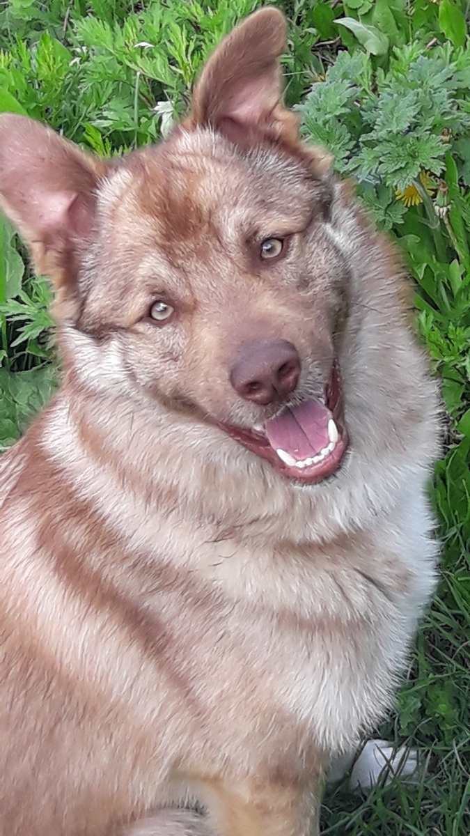 Мой любимый трагически погибший друг от злых людей