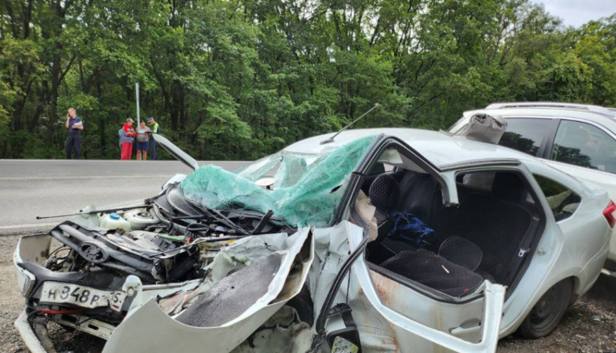    Источник фото: Прокуратура Приморского края