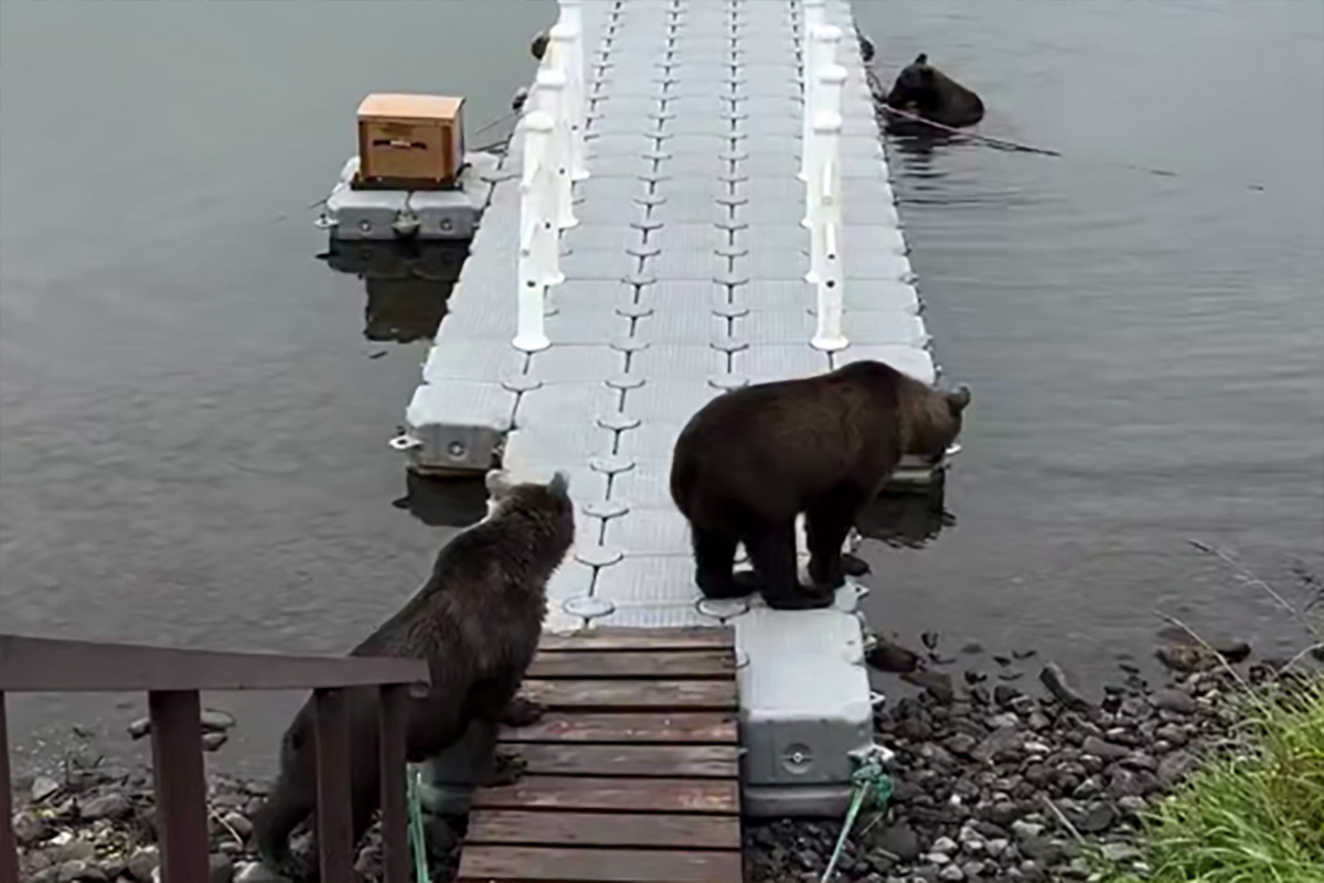    Фото: скин с видео, источник: Liana Varavskaya / Telegram