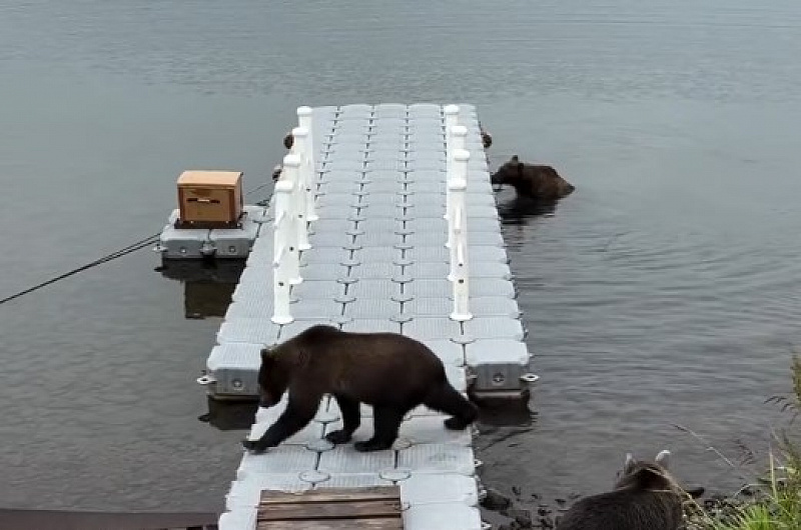 Лиана Варавская