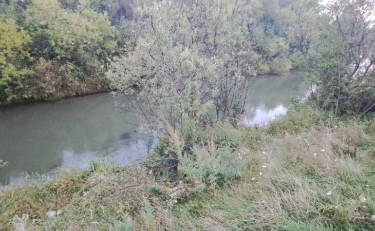 Фото:. СК по Алтайскому краю