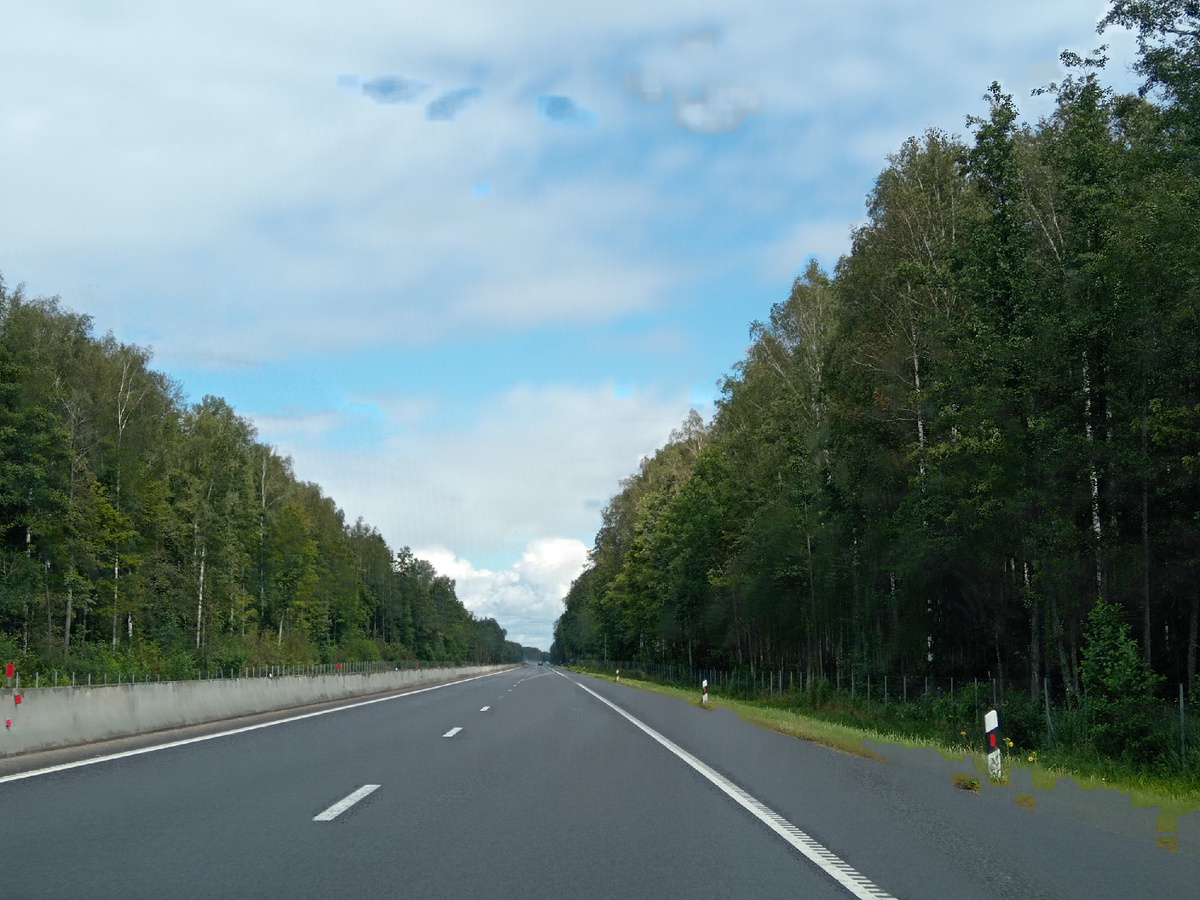 Вот такие отобойники очень опасны для животных. У животных нет шанса перебраться на другую сторону дороги, если они на ней оказались