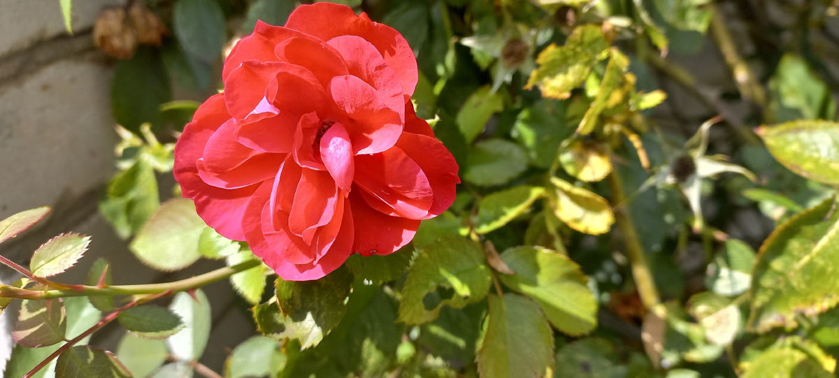 Фото личное