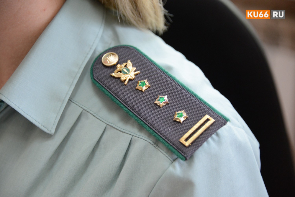     Фото: ku66.ru