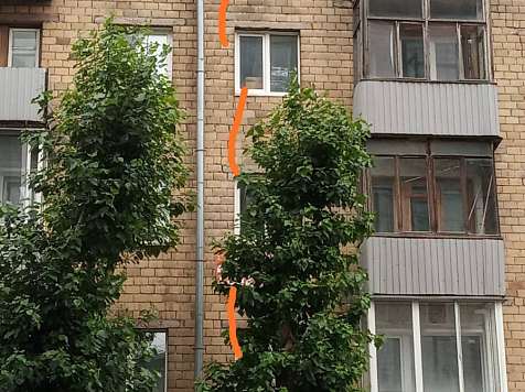 Фото: "7 канал Красноярск"