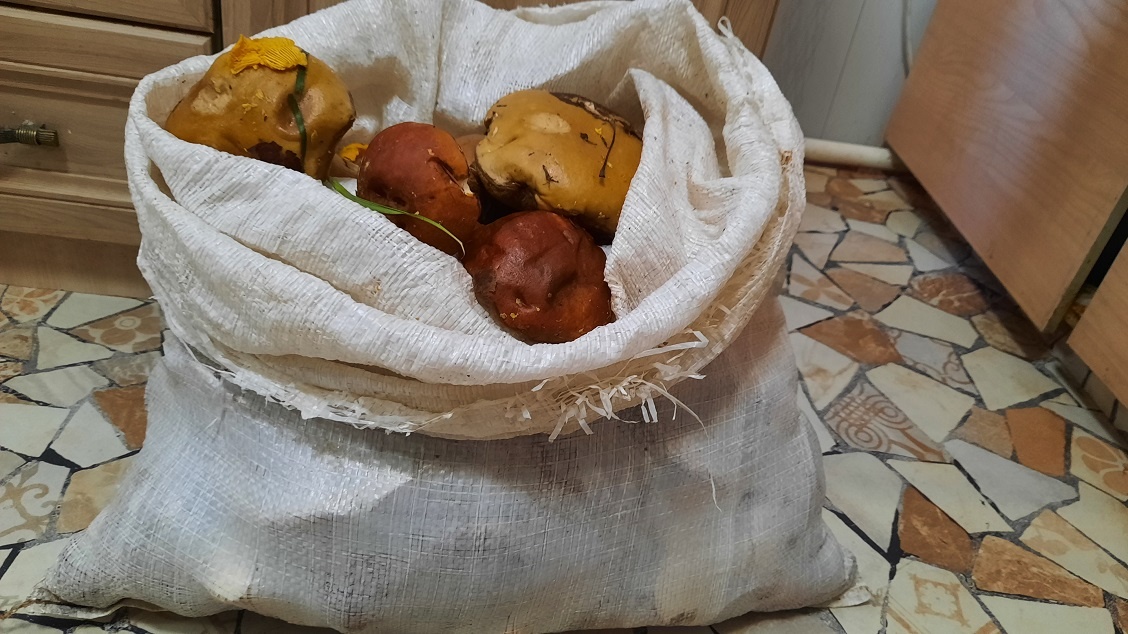 вчерашняя добыча