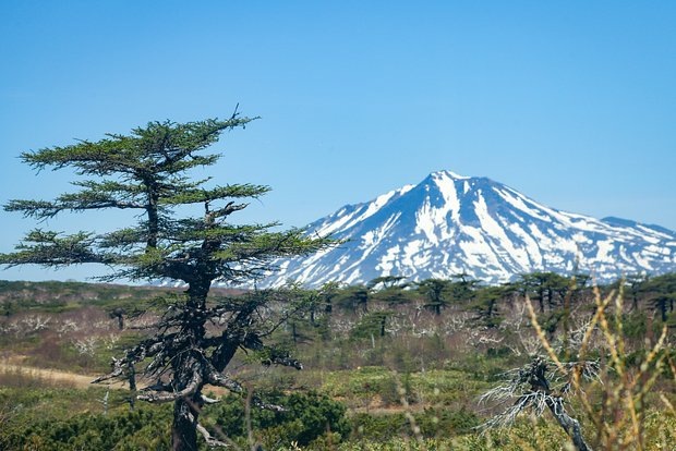 Фото: Юрий Смитюк / ТАСС