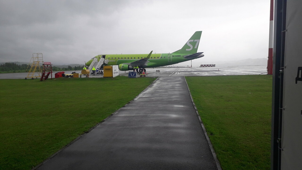 Самолёт авиакомпании S7. Фото: Яндекс карты. Автор: Владимир Шестопалов