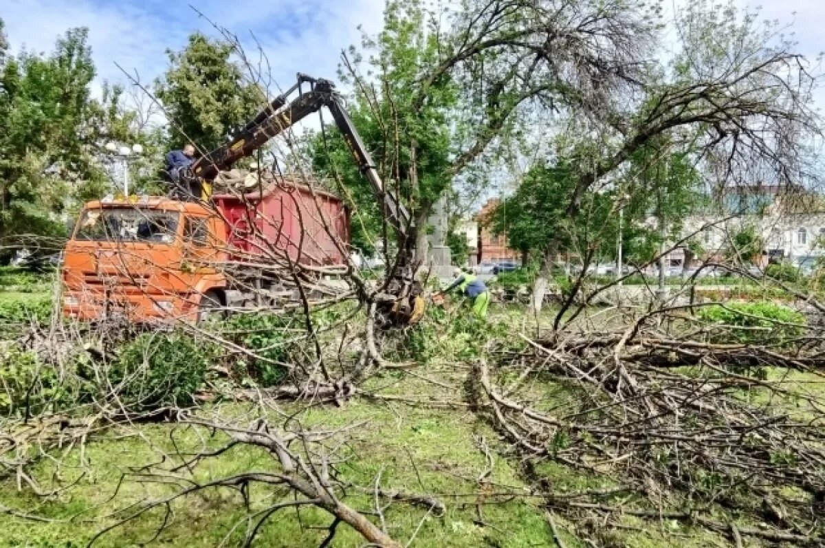    Это всё златка?