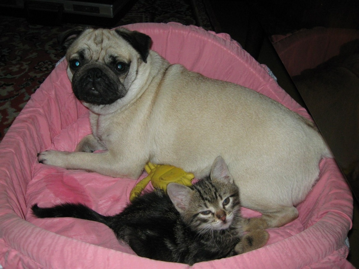 Фотография предоставлена победителем конкурса 