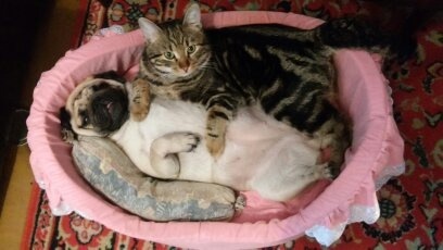 Фотография предсотавлена победителем конкурса